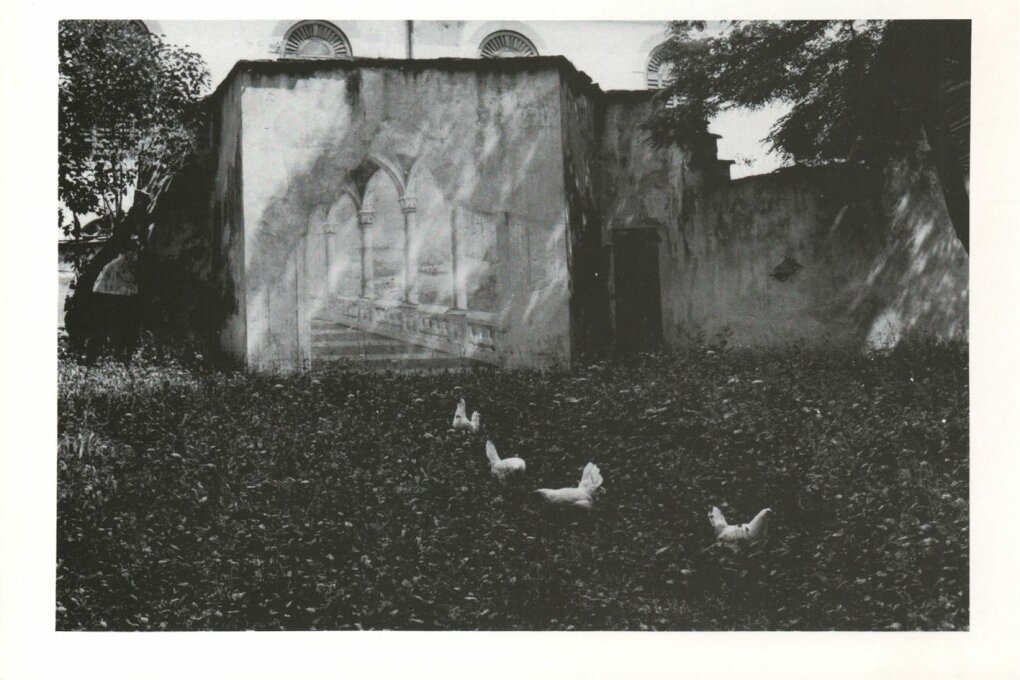 Frans de la Cousine, výběr fotografií